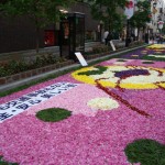 フラワーカーペット